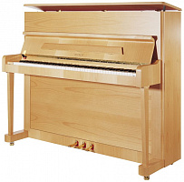 PETROF P 118P1(4107)