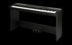 MEDELI SP4000+stand