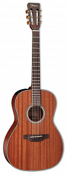 TAKAMINE GY11ME NS