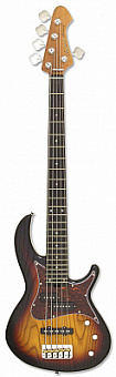 ARIA 313-MK2/5 OPSB