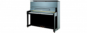 PETROF P 118M(1)(0801) Silver
