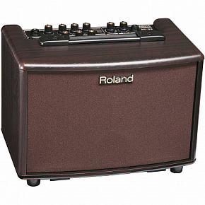 ROLAND AC-33 RW