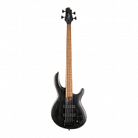CORT B4FL-Element-OPTB