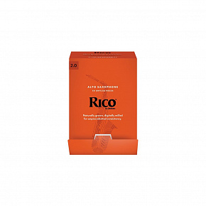 RICO RJA0120-B50