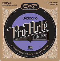 D'ADDARIO EXP44