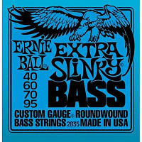 ERNIE BALL P02835