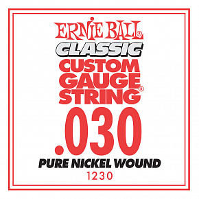 ERNIE BALL 1230