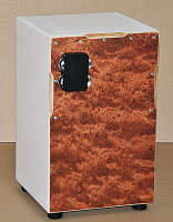 ������ PJC-1