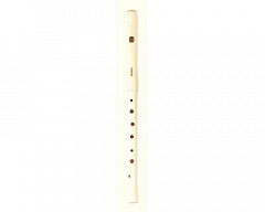 YAMAHA YRF-21 in C