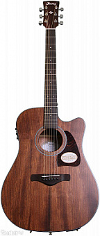 IBANEZ AW54CE-OPN