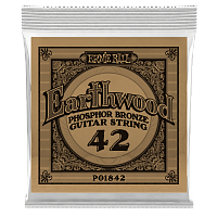 ERNIE BALL 1842