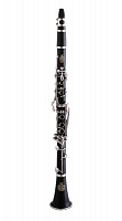 AMATI ACL211