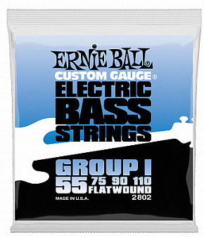 ERNIE BALL P02802