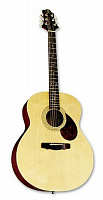 GREGBENNETT GJ100S/N