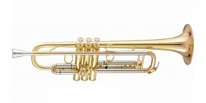 AMATI ATR313