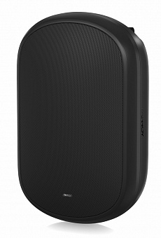 TANNOY DVS 801