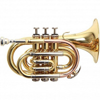 ROY BENSON PT-302 Bb