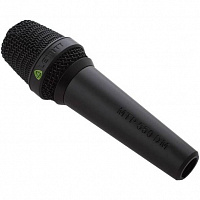 LEWITT MTP550DMs