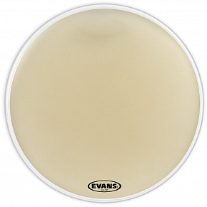 EVANS CB3614S Strata Concert Bass 36"