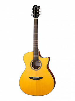 RAMIS GA-6YW