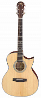ARIA 201CE N
