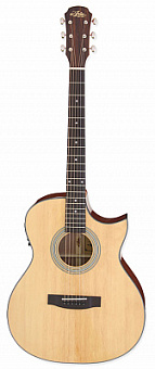 ARIA 201CE N