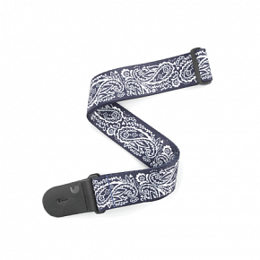 PLANET WAVES P20W1419