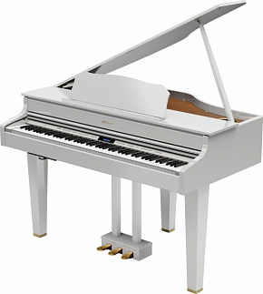 ROLAND GP607-PW
