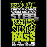 ERNIE BALL P02842