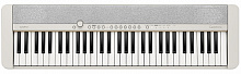 CASIO CT-S1WE