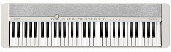 CASIO CT-S1WE