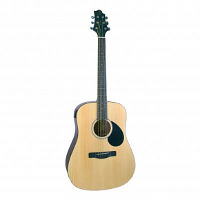 GREGBENNETT GD50T/OPN