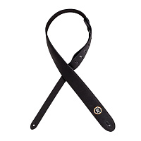 PLANET WAVES 20NYXL01