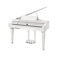 KURZWEIL CUP G1W WHP