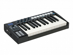 LAUDIO BLUE-WHALE25