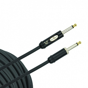 PLANET WAVES PW-AMSK-20
