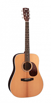 CORT EARTH200ATV-SG