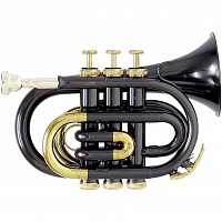 ROY BENSON PT-101K Bb
