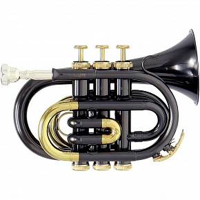 ROY BENSON PT-101K Bb