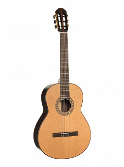 PARKWOOD CL400-NSG-wcase