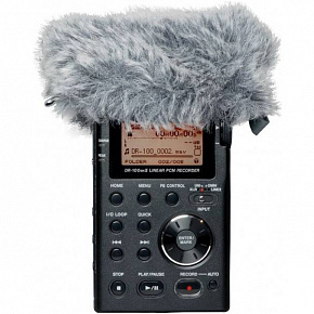 TASCAM WS-11