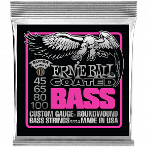 ERNIE BALL P03834