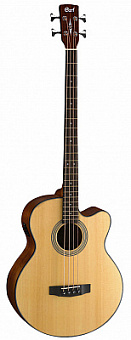 CORT SJB5F-NS-WBAG