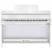 CASIO GP-310WE