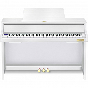 CASIO GP-310WE