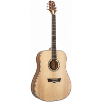 PEAVEY DW 2