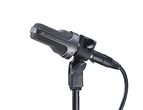 AUDIO-TECHNICA AE3000
