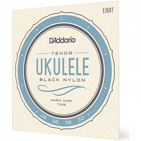 D'ADDARIO EJ53T