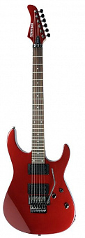 FERNANDES RX08 MTR
