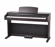 MEDELI DP250RB-BK